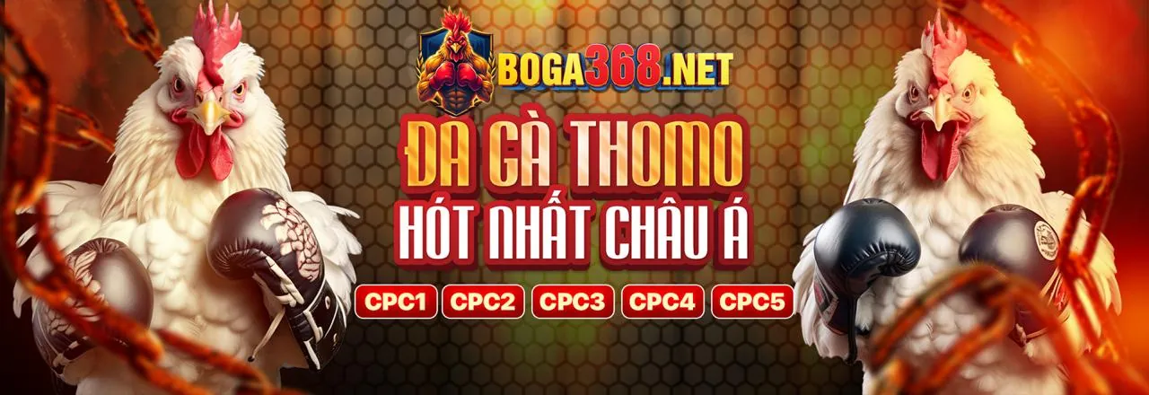 Sân đấu đá gà trực tuyến tại 55win nhà cái