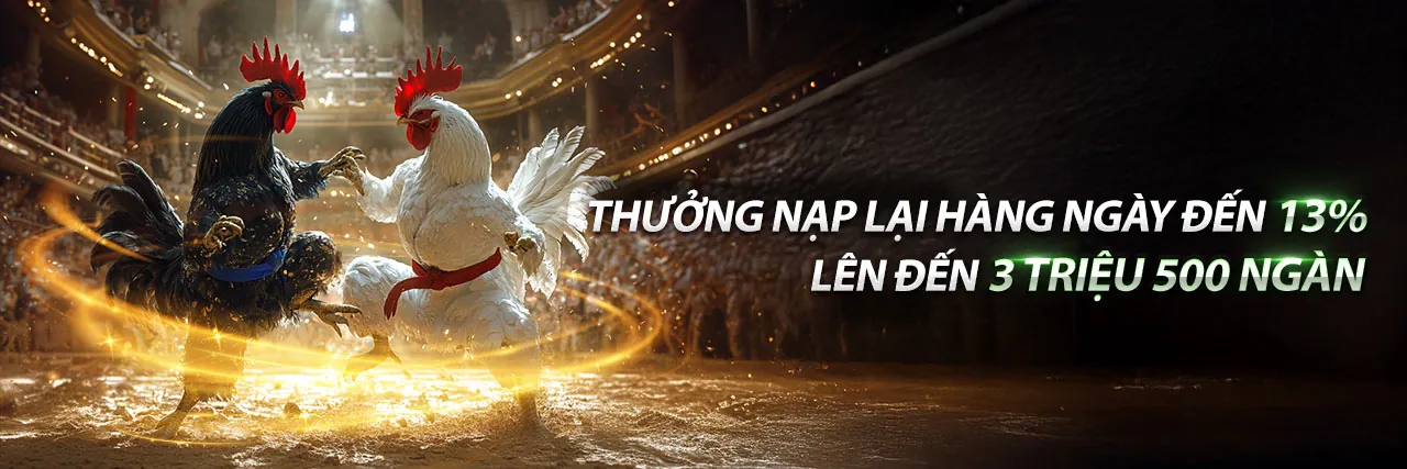 Giao diện đăng nhập 55win nhà cái